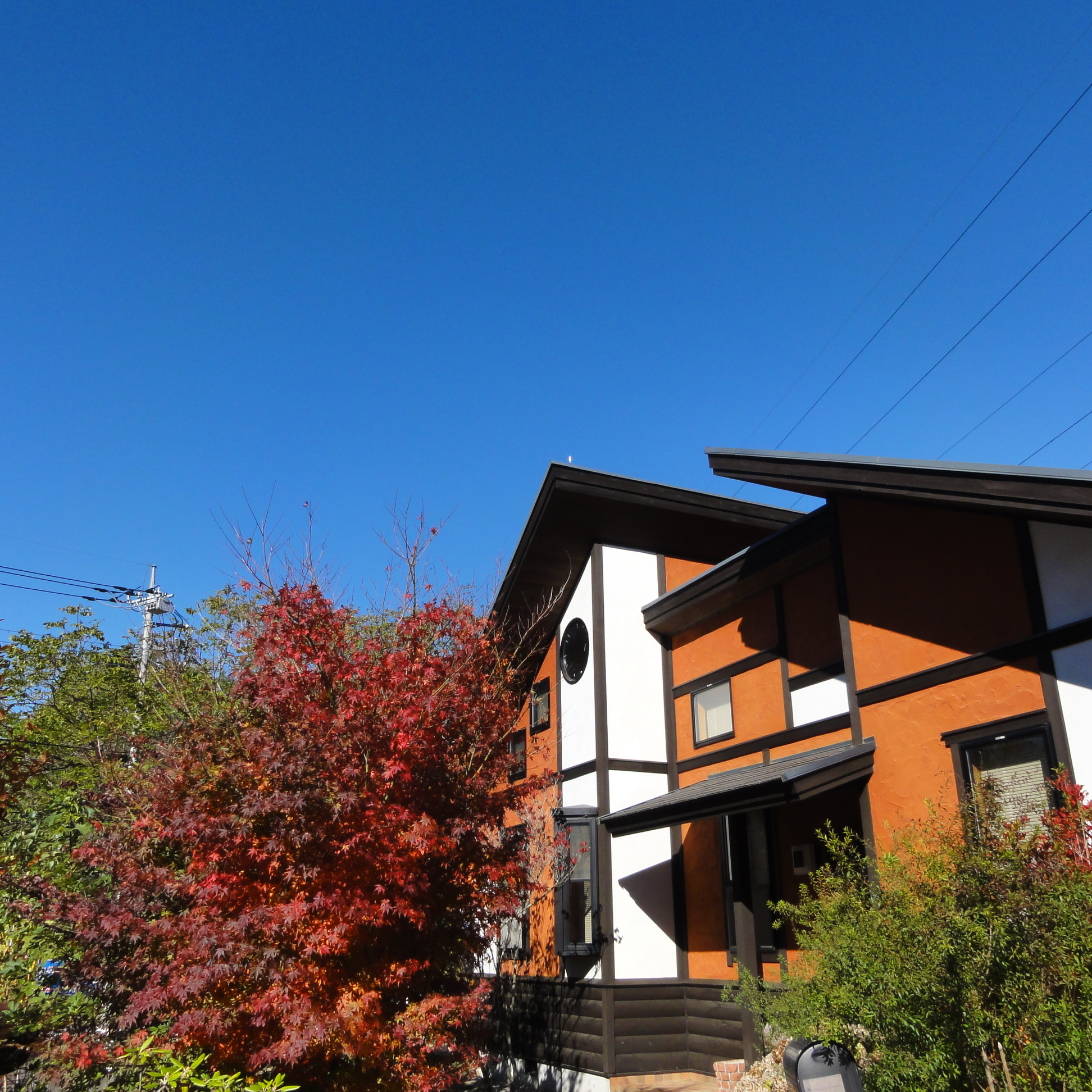 八ヶ岳支店