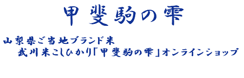 ショップ説明